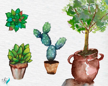 Plantas: Suculentas com e sem vaso, Cacto e Árvore feitas à mão com Aquarela Tradicional.